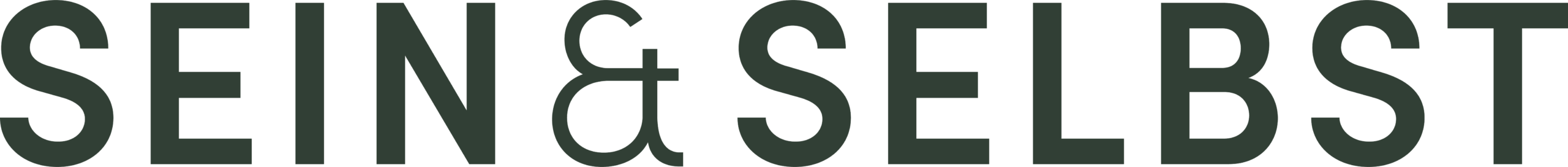 Wortmarke SEIN & SELBST – Logo in moderner Typografie